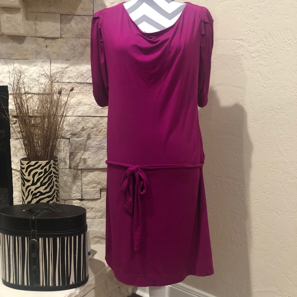 EUC Belted Sheath Dress